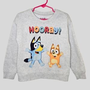 Bluey Hooray Sweatshirt Unisex Toddler Size 5 Gray Cartoon Pullover